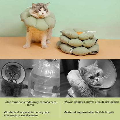 Cat sebgyógyító gallér állítható vízálló zöld virágos S