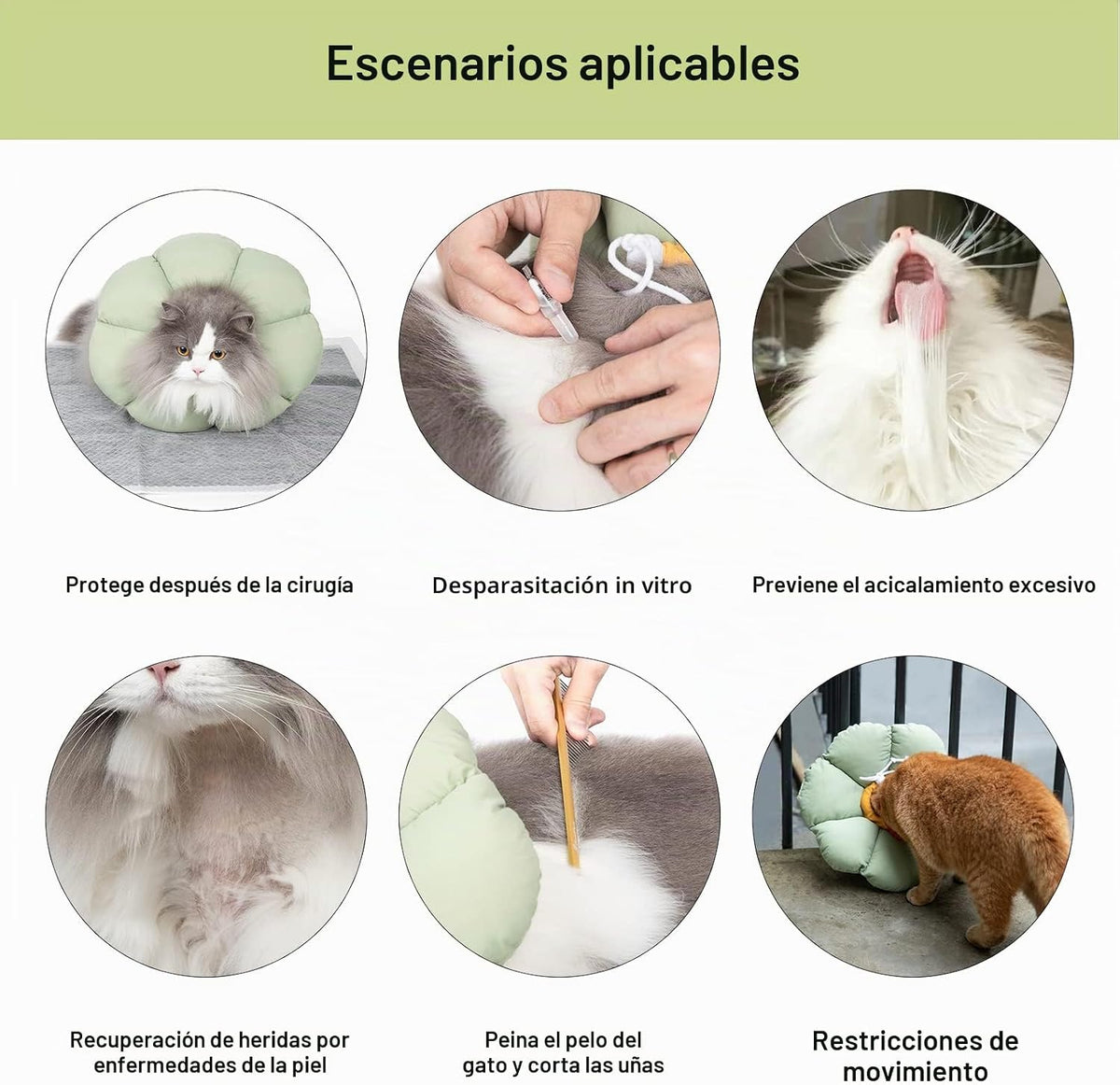 Cat sebgyógyító gallér állítható vízálló zöld virágos S