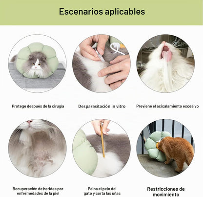 Cat sebgyógyító gallér állítható vízálló zöld virágos S