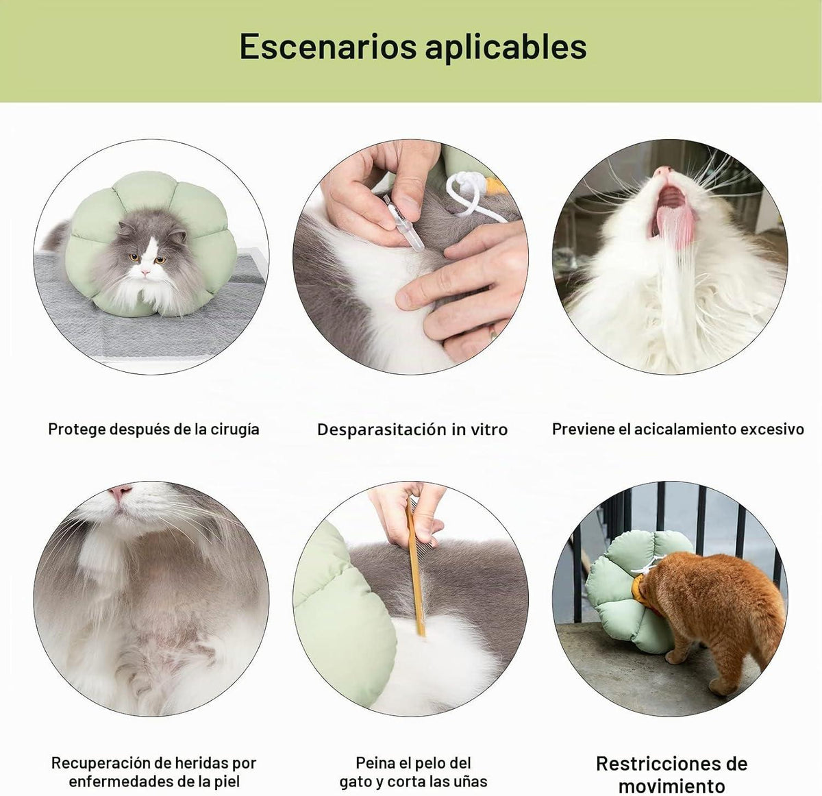 Cat sebgyógyító gallér állítható vízálló zöld virágos S