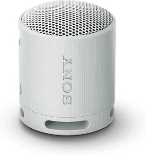 Sony SRS-XB100H Bluetooth hangszóró (szürke)