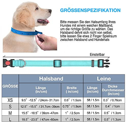 Haapaw kutyanyakörv fényvisszaverő, puha neoprénnel, állítható, légáteresztő, nylon