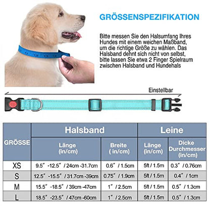 Haapaw kutyanyakörv fényvisszaverő, puha neoprénnel, állítható, légáteresztő, nylon