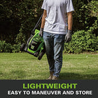 Greenworks 24V 33 cm kefementes fűnyíró 25-70 mm vágási magasság, 2 funkció, 30L