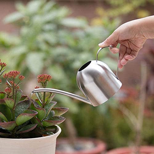 AKOGD 500 ml locsolókanna rozsdamentes acél, hosszú kiöntő, kényelmes fogantyú