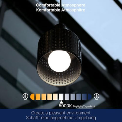 FLSNT E27 csavaros izzó 18W A70 LED 5000K, 2 darabos
