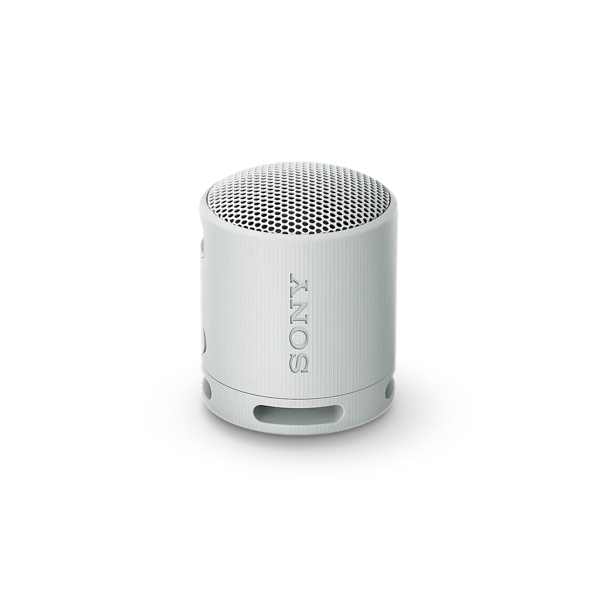 Sony SRS-XB100H Bluetooth hangszóró (szürke)