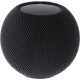 Apple HomePod mini grau