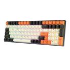 Mechanical keyboard Royal Kludge RK100 RGB, brown switch (black-orange)